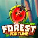 Forest Fortune